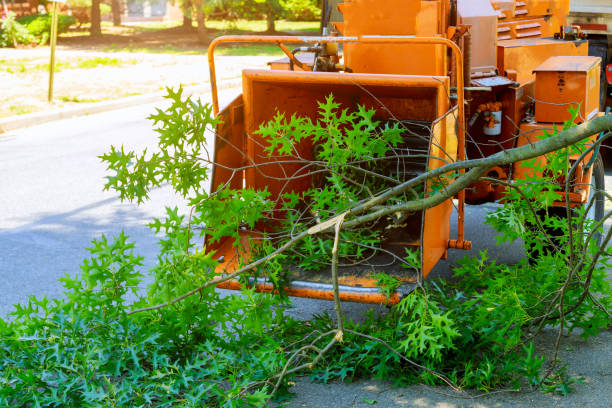 Gahanna, OH Tree Removal Company